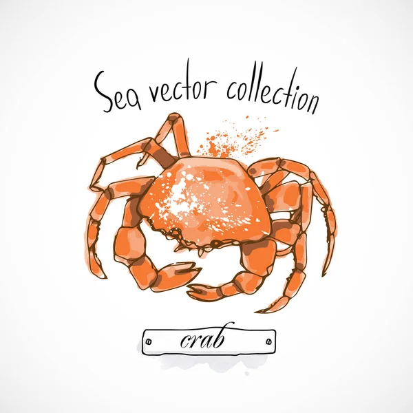 Yengeç deniz ürünleri beyaz arka planda suluboya sprey deniz ürünleri posteri ambalajı veya menüsü tadı