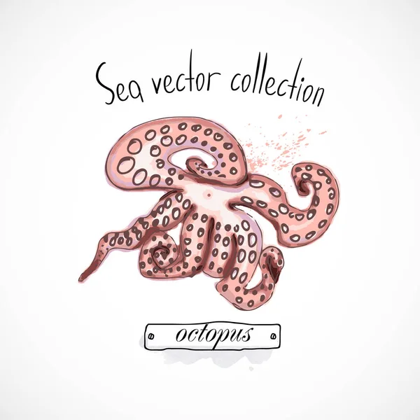 Ahtapot deniz ürünleri ambalaj veya menü için tadı suluboya sprey deniz ürünleri afişi beyaz arka planda