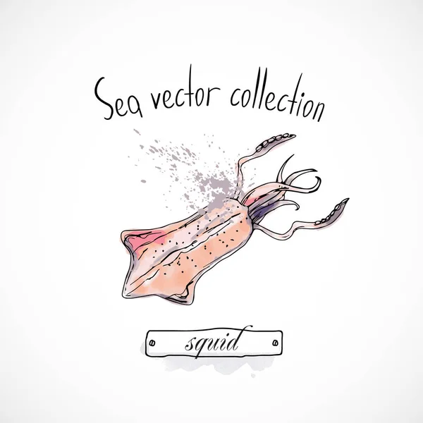 Calamares Mariscos Dibujado Mano Conjunto Acuarela Tinta Menú Restaurante Dibujo — Vector de stock