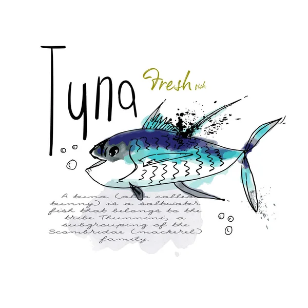 Sketsa Tinta Warna Ikan Tuna Percikan Air Laut Tanda Menu - Stok Vektor