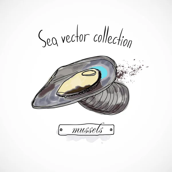 Mussel Sea Food Hand Drawn Set Watercolor Ink Menu Restaurant — Vetor de Stock