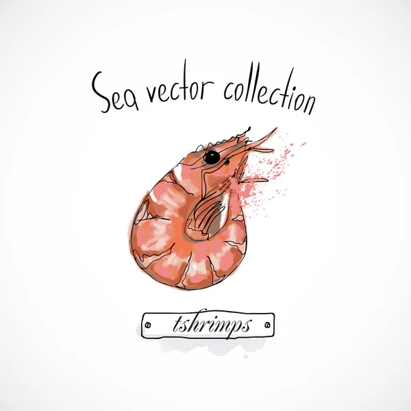 Krevety Moře Jídlo Ručně Kreslené Set Akvarel Inkoust Menu Restaurace — Stockový vektor