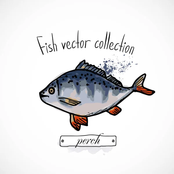 Fischbarsch Handgezeichnete Set Aquarelltinte Speisekarte Restaurant Skizze Cartoon Print Vektor — Stockvektor