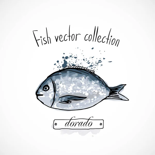 Pescado Dorado Dibujado Mano Conjunto Acuarela Tinta Menú Restaurante Dibujo — Vector de stock