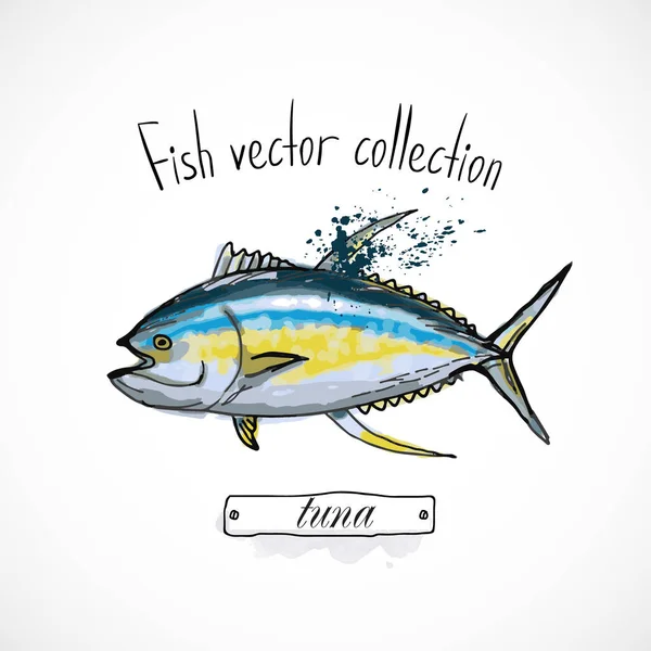 Balık Tuna Balığı Eli Çizilmiş Suluboya Mürekkep Menü Restoranı Karikatür — Stok Vektör