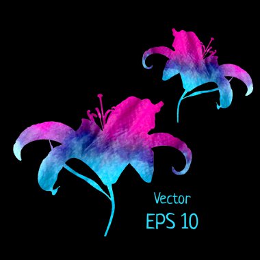 Mavi mor güzel zambak