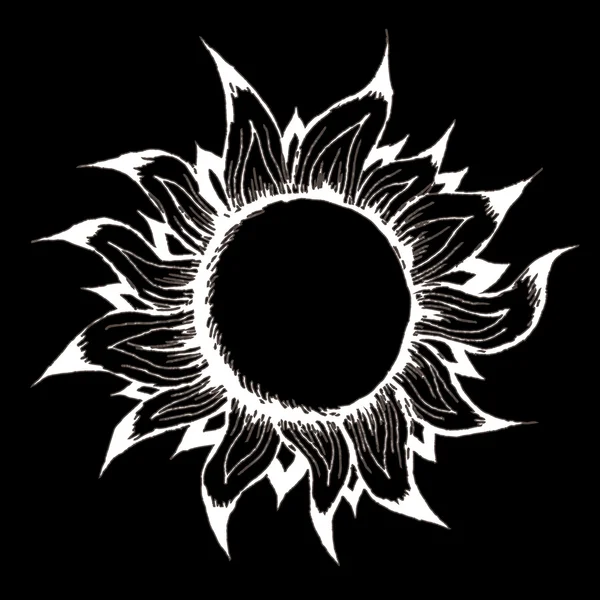 Sun on a black background — Stock Vector