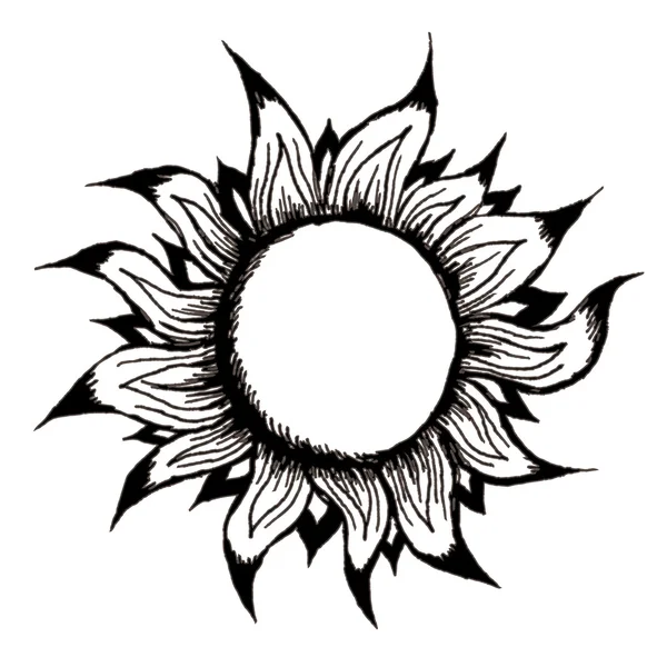 Solen på vit bakgrund — Stock vektor