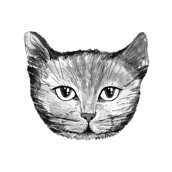 猫の頭部のイラスト — ストックベクタ