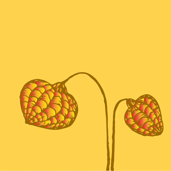 Twee bloemen geïsoleerd — Stockvector