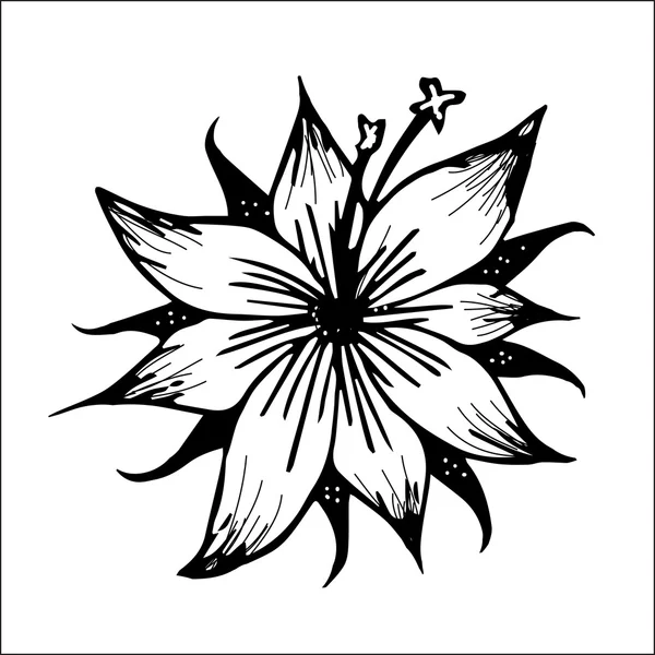 Inkt lily bloem — Stockvector