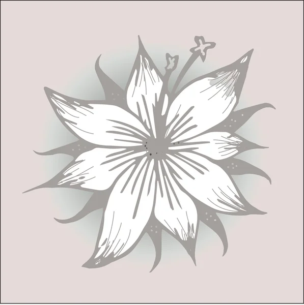 Retro mürekkep lily — Stok Vektör