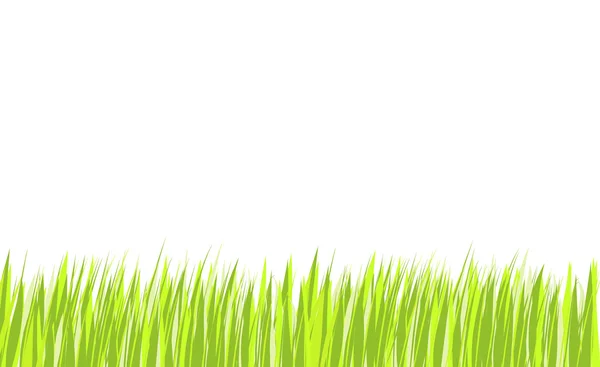 Herbe verte fraîche — Image vectorielle