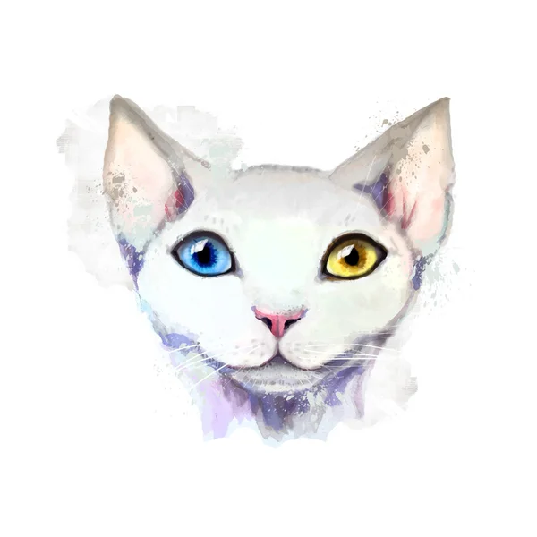 White cat with different eyes — Stock Vector