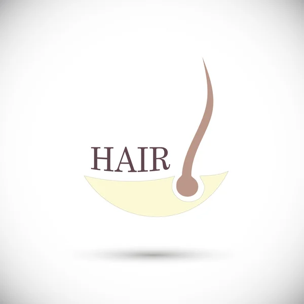 Hair follicle shapes sign — Stock Vector