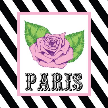Paris ile gül flowe yazdırma