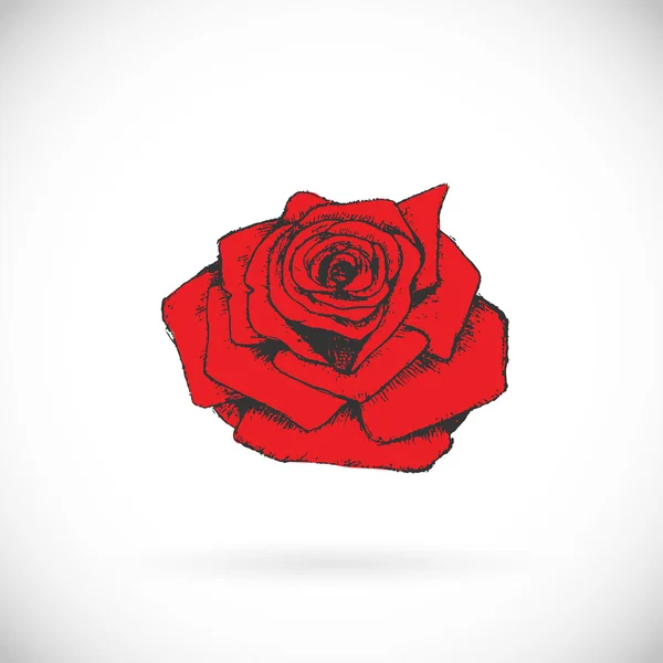 Rosa flor Impressão —  Vetores de Stock