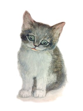 Şirin suluboya yavru kedi
