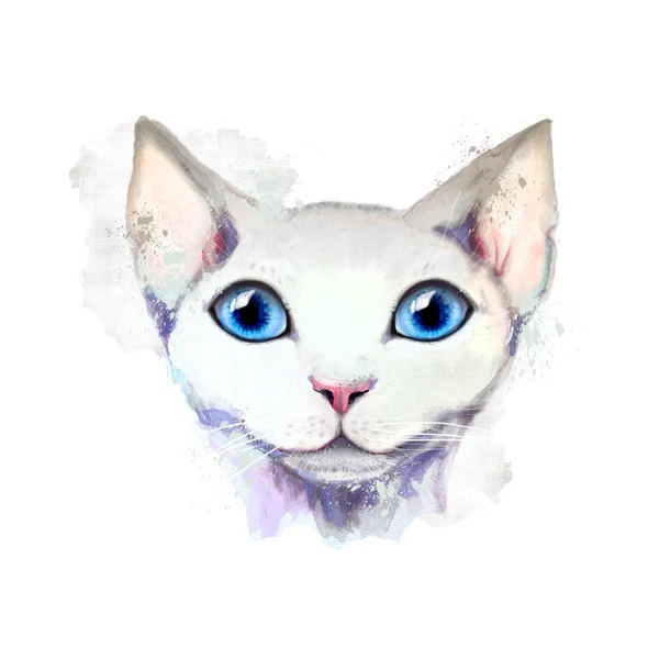 Portrait of a white cat. — Stock Photo, Image