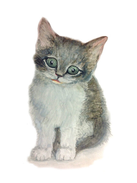 Cute watercolor kitten