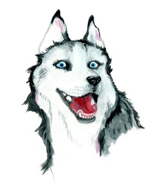 Suluboya beyaz arka plan üzerinde husky