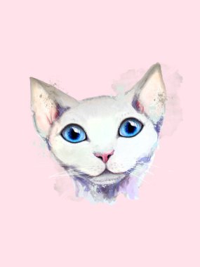 Beyaz bir kedinin portresi.