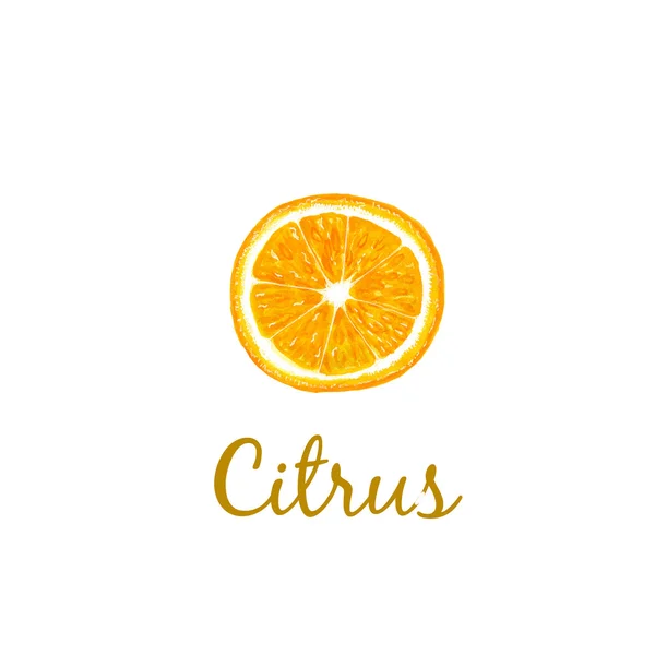 Logotipo citrus slice — Fotografia de Stock