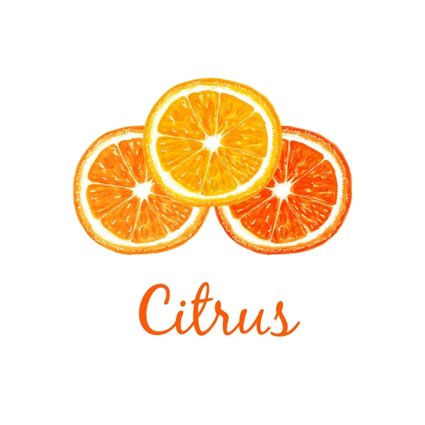 Citrus logo, citroen oranje grapefruit — Stockfoto