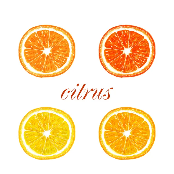Conjunto de toranja laranja limão tangerina — Fotografia de Stock