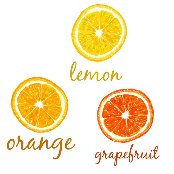 Set van citrus, citroen oranje grapefruit — Stockfoto