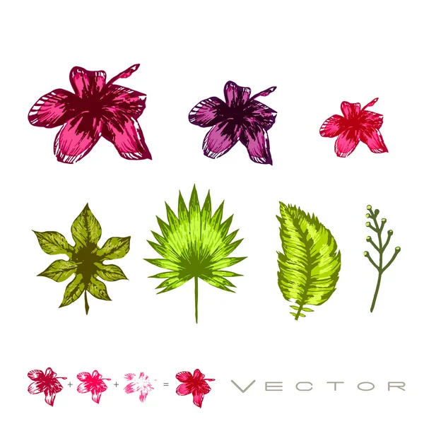 Set van tropische bloemen — Stockvector