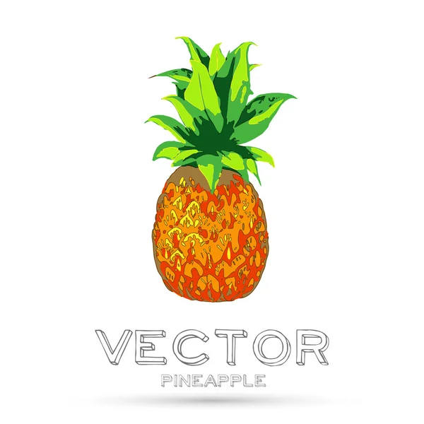 Ananas ilustracja na białym tle — Wektor stockowy