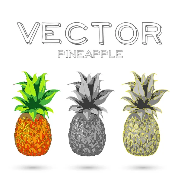 Collection pineapples  illustration — Stock Vector