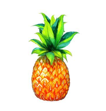 Sulu Boya resimde ananas
