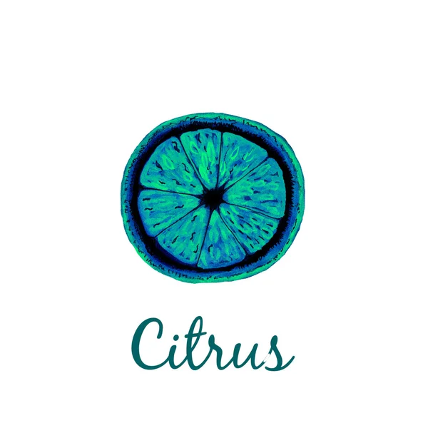 Logo citrus geïsoleerd — Stockfoto