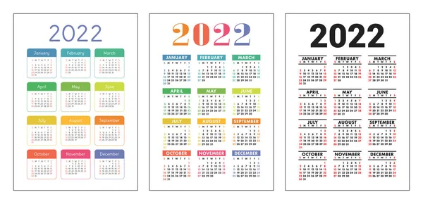 Calendario 2022 Anno Stabilito Tasca Vettoriale Parete Collezione Modello Calendario — Vettoriale Stock