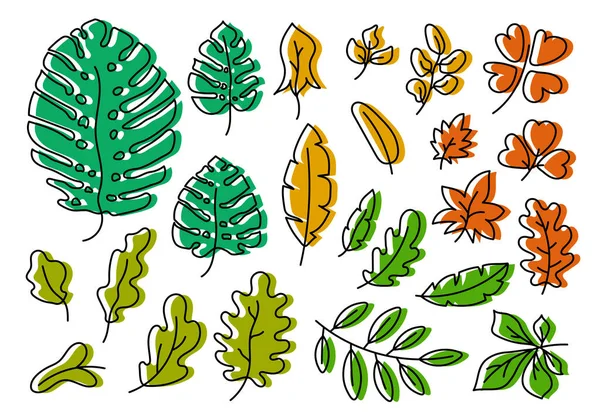 Векторные Листья Готовы Ботанический Рисунок Каракулями Многоцветный Ручной Рисунок Экзотический — стоковый вектор