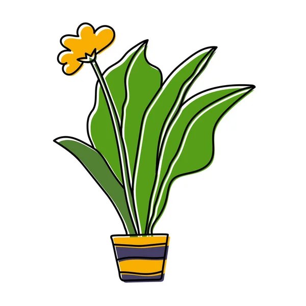 Topfblumen Skizze Vector Zimmerpflanze Topf Doodle Farbige Illustration Cartoonzeichnung — Stockvektor