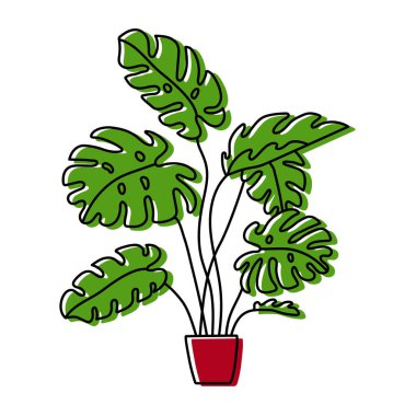 Saksı canavarı skeci. Kapalı alan filodendronu. Karalama rengi bitki çizimi