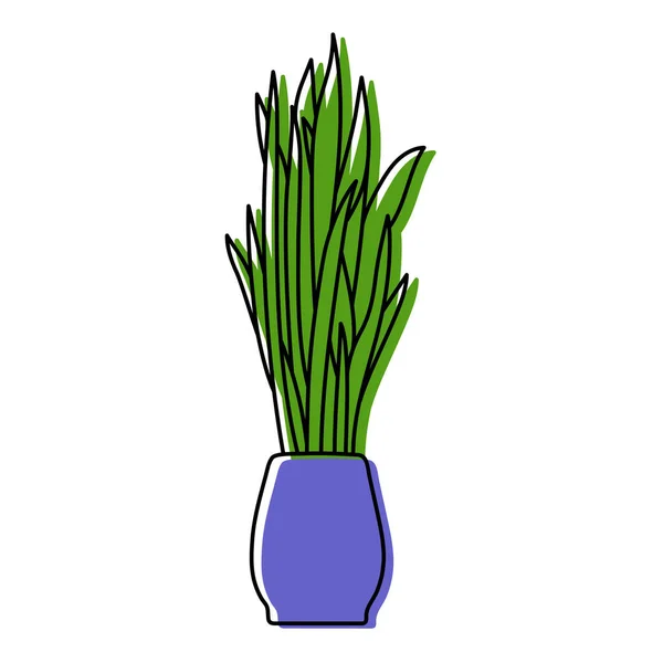 Sansevieria Zimmerpflanzenskizze Indoor Snake Plant Vektor Illustration Dracaena Trifasciata Kritzelzeichnung — Stockvektor