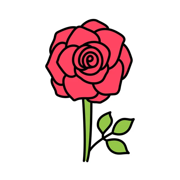 Doodle Flower Rose Stem Leaf Vector Hand Drawn Color Sketch — Stock Vector