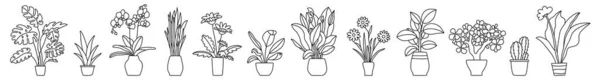 Planta Interior Maceta Colecciona Bocetos Blanco Negro Vector Doodle Line — Vector de stock