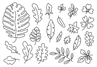 Hat hazır. Botanik karalama çizimi. El çizimi vektör çizimi. Siyah beyaz egzotik canavar yaprağı. 