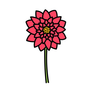 Saplı karalama çiçeği nilüferleri. Vektör el çizimi renk çizimi. 