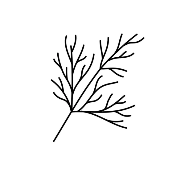 Травы Укропа Овощной Набросок Тонкий Простой Значок Контура Черный Контурный — стоковый вектор