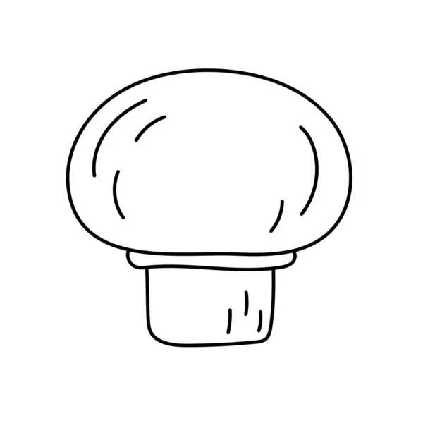Mushroom Champignon Vegetable Sketch Thin Simple Outline Icon Black Contour — Stock Vector