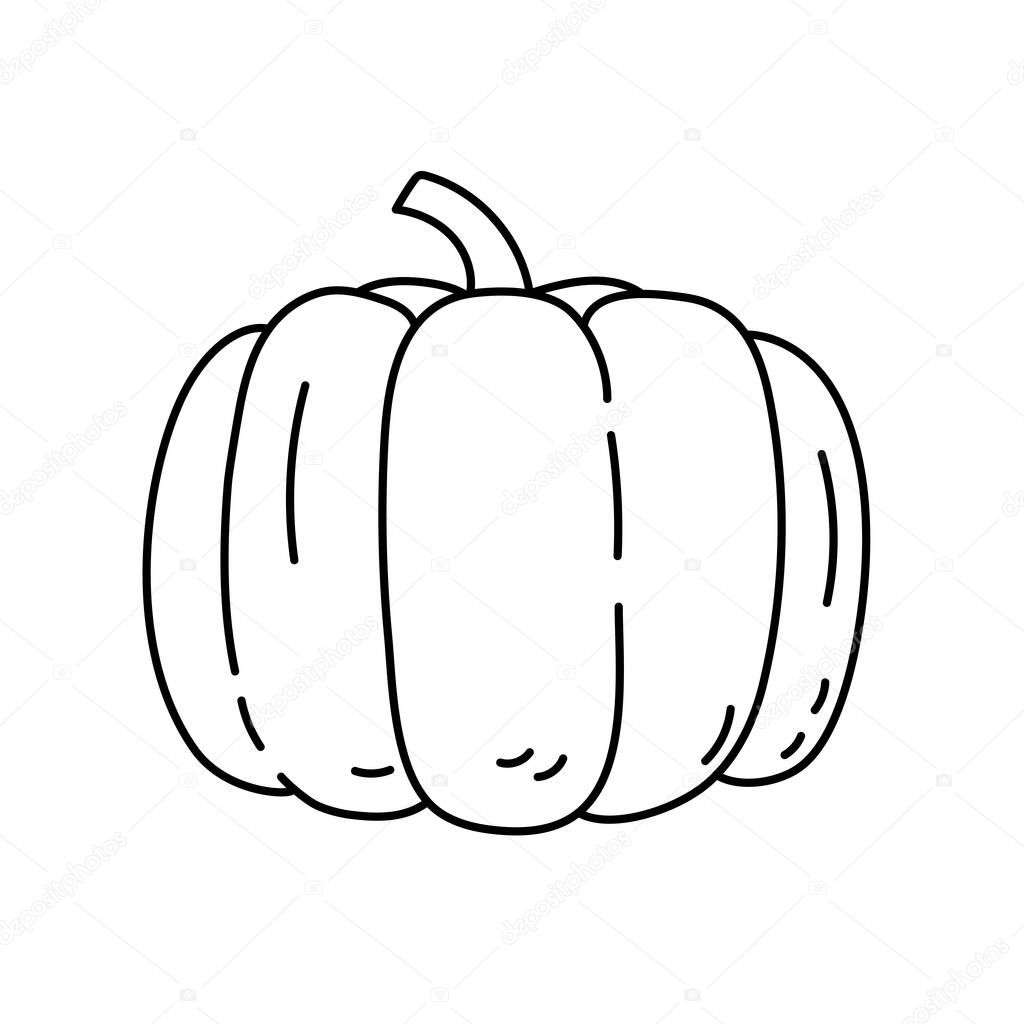 Pumpkin. Vegetable sketch. Thin simple outline icon. Black contour line vector. Doodle hand drawn illustration