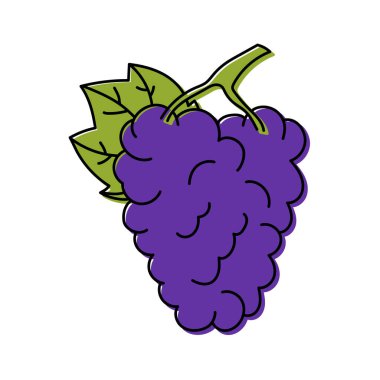 Üzüm üzümü. İzole edilmiş yapraklı meyveler. Renkli yemek ikonu. Vektör illüstrasyonu