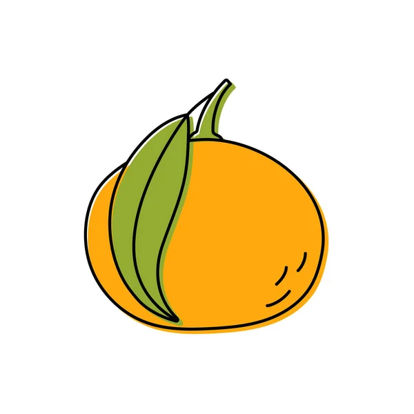Mandarin Skizze Zitrusfrüchte Mit Blatt Farbiges Lebensmittelsymbol Vektorillustration Mandarine — Stockvektor