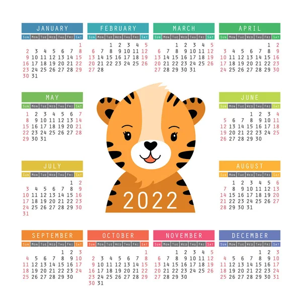 Calendar 2022 Cartoon Tiger Illustration Vector Template Chinese New Year — Stock Vector